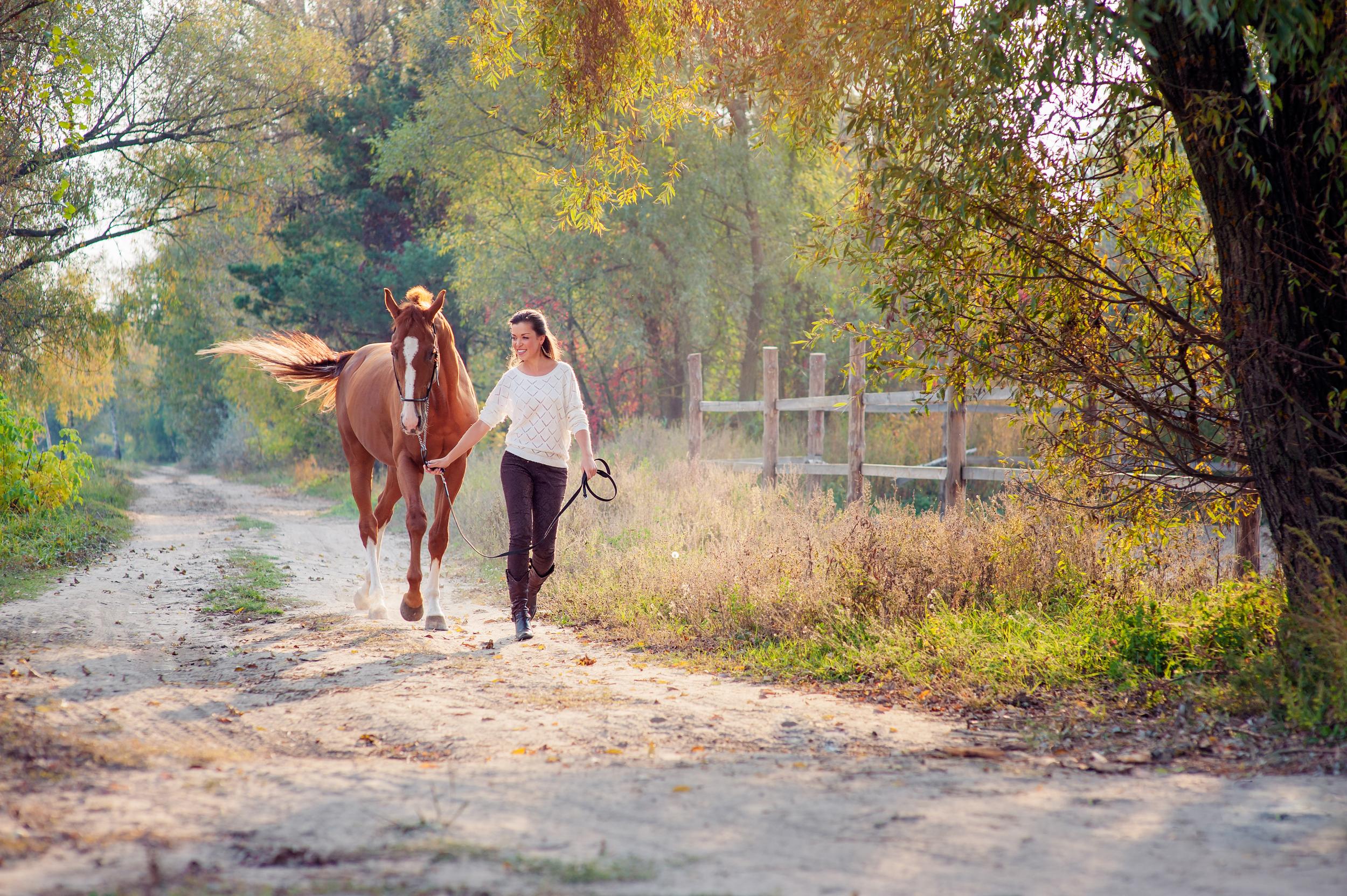 Person Walking Horse Down Lane in Autumn