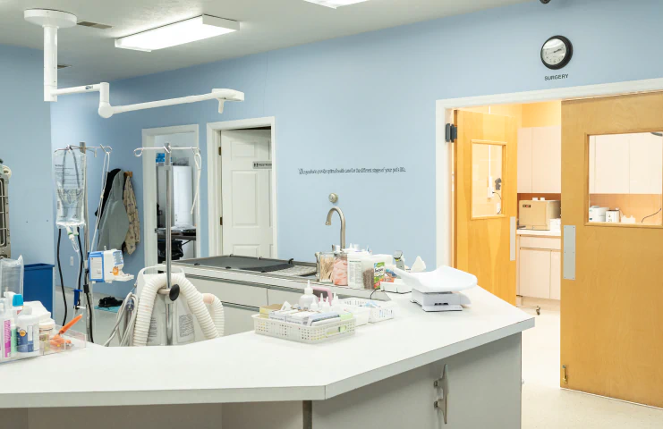Services_Advanced_Surgical_Left veterinary office in Center Township PA at Center Animal Clinic